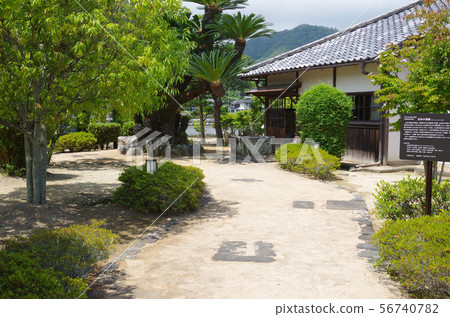 gi老田中貝蒂入口 gi老田中貝蒂入口 56740782