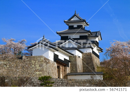 Sakura和Komine城堡(福島縣白川市) Sakura和Komine城堡(福島縣白川市) 56741571