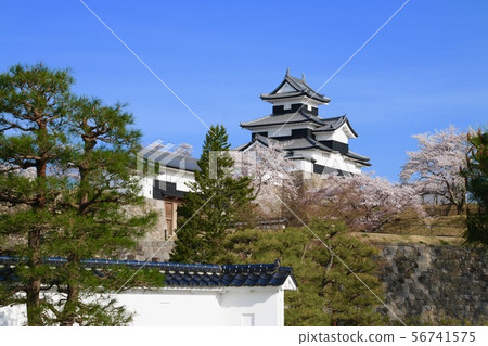 Sakura和Komine城堡（福島縣白川市） 56741575