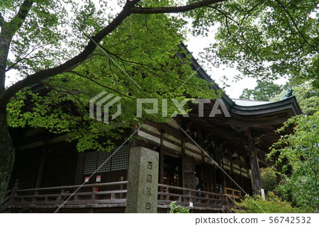[三國觀音朝拜]大阪府泉市綠葉環繞的四福寺主殿4 56742532