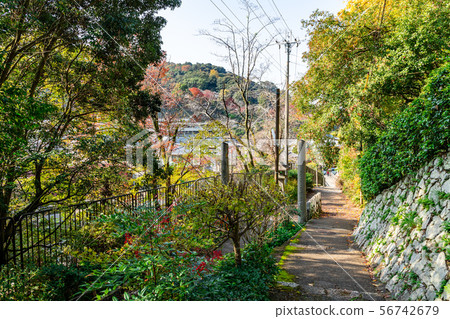 Hyuga Ojingu的做法 56742679