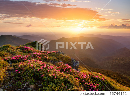 Mountains during flowers blossom and sunrise. Mountains during flowers blossom and sunrise. 56744151