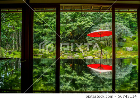 前竹林研究所 56745114