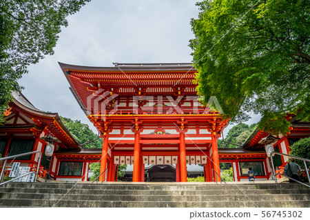 Omi Jingu Omi Jingu 56745302