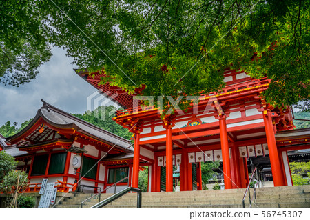 Omi Jingu 56745307