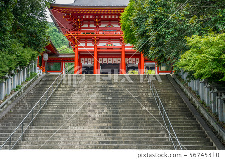Omi Jingu 56745310