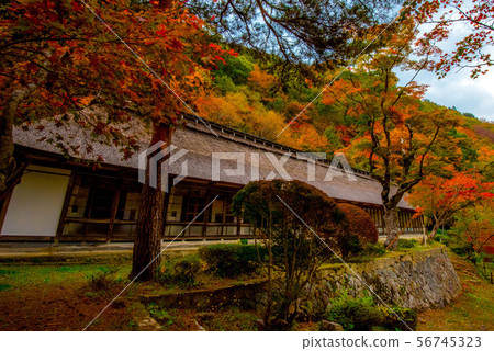 Hanamaki溫泉村莊在秋天 Hanamaki溫泉村莊在秋天 56745323