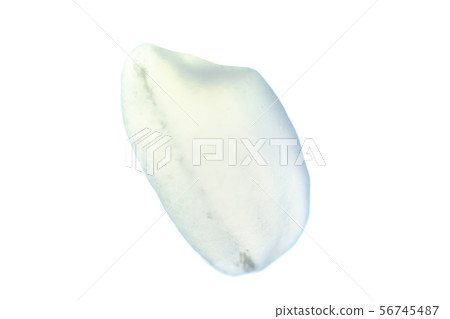 A grain of rice A grain of rice 56745487