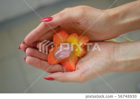 Female hand with red manicure holding transparent violet amethyst yoni egg for vumfit, imbuilding or Female hand with red manicure holding transparent violet amethyst yoni egg for vumfit, imbuilding or 56748930