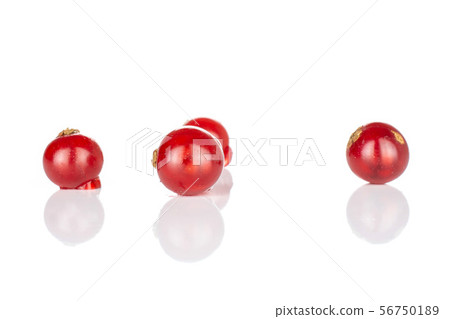 Fresh red currant isolated on white 56750189