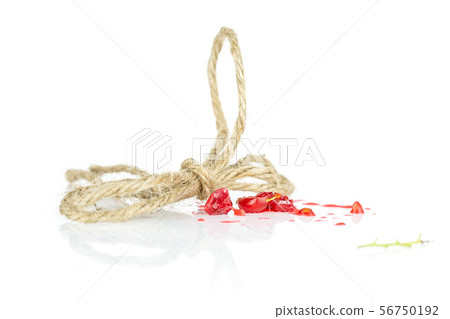 Fresh red currant isolated on white Fresh red currant isolated on white 56750192