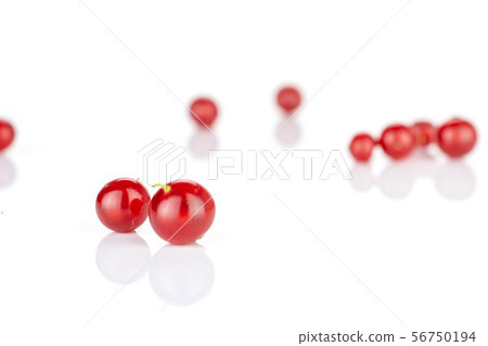 Fresh red currant isolated on white Fresh red currant isolated on white 56750194