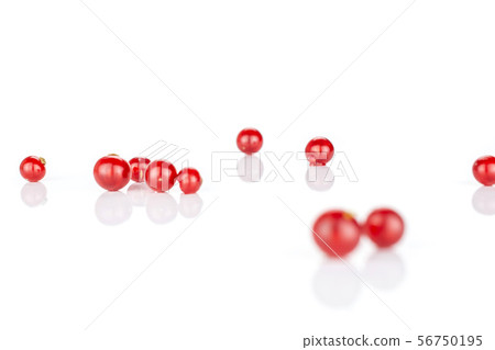 Fresh red currant isolated on white Fresh red currant isolated on white 56750195
