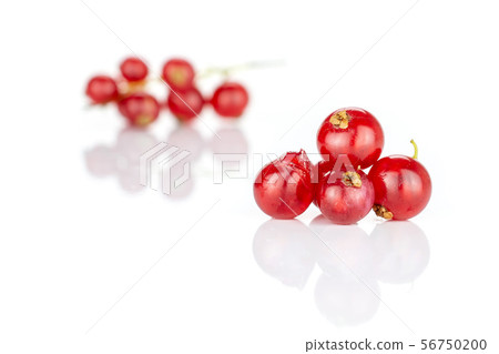 Fresh red currant isolated on white Fresh red currant isolated on white 56750200