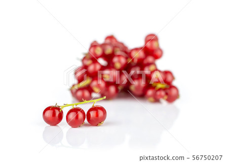 Fresh red currant isolated on white Fresh red currant isolated on white 56750207