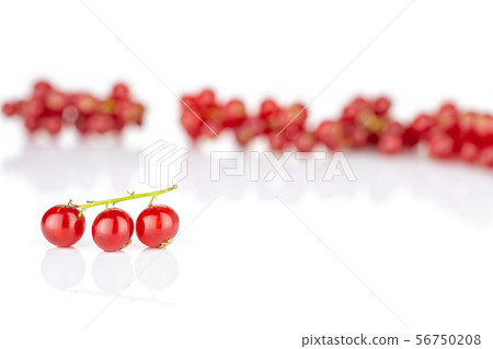 Fresh red currant isolated on white Fresh red currant isolated on white 56750208