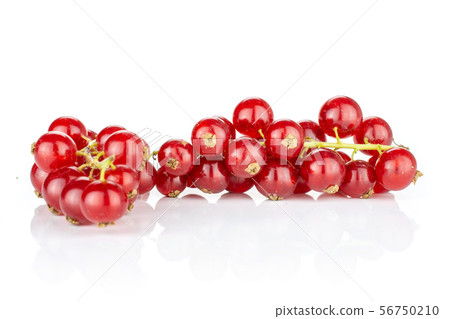 Fresh red currant isolated on white Fresh red currant isolated on white 56750210