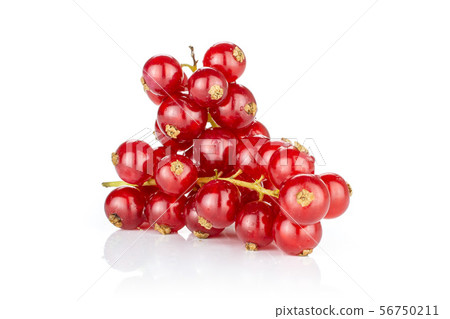 Fresh red currant isolated on white 56750211