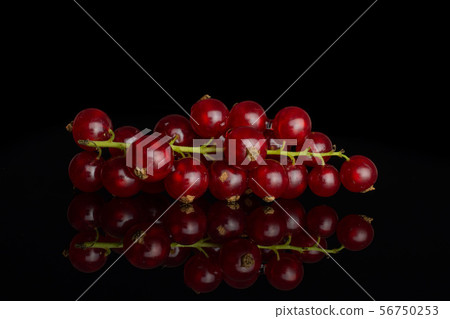 Fresh red currant isolated on black glass 56750253