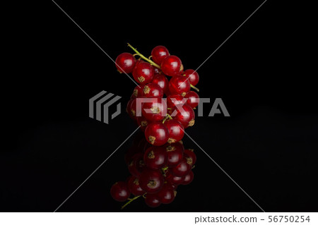 Fresh red currant isolated on black glass Fresh red currant isolated on black glass 56750254