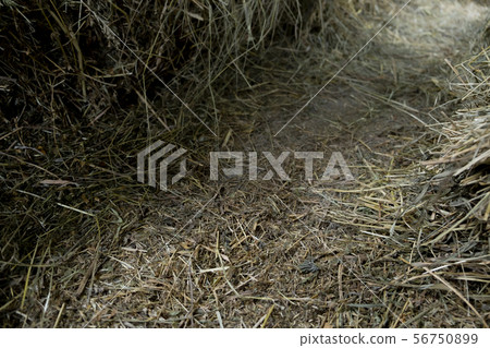 Haystack with hay path background.  56750899