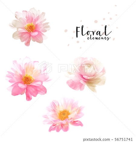Elegant watercolor floral and poster design 56751741