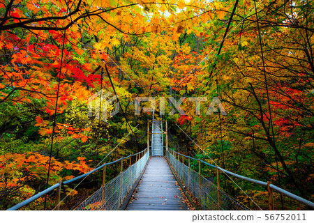 Hanamaki Onsenkyo，染成秋天的顏色 56752011