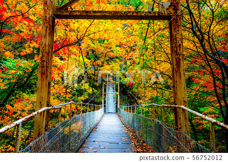 Hanamaki Onsenkyo, dyed in autumn colors 56752012