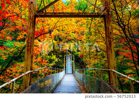 Hanamaki Onsenkyo, dyed in autumn colors 56752013