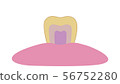 Yellowed and dirty teeth 56752280