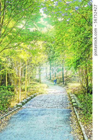 Park promenade walk 56752427