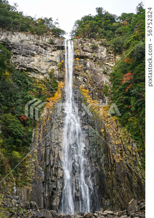 Nachi Gyoen 56752824