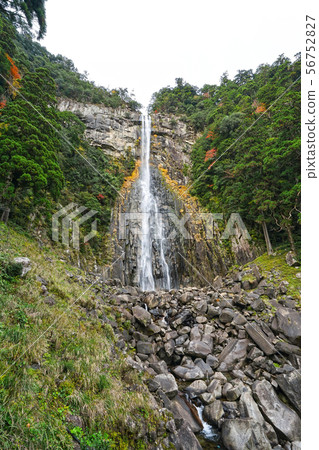 Nachi Gyoen 56752827