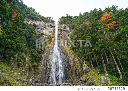 Nachi Gyoen 56752829