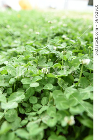 Agriculture Agriculture 56752910