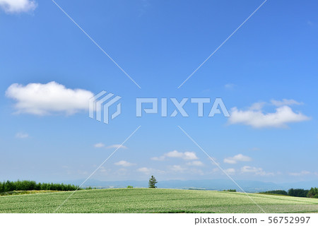 Biei no Oka Biei no Oka 56752997