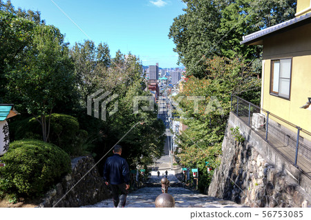 Dogo-stone steps at Isa Tonami Shrine 56753085
