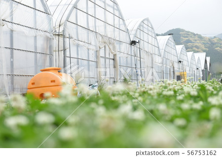 Agriculture Agriculture 56753162