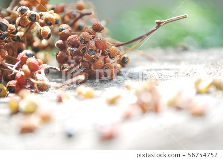 Dried yam Dried yam 56754752