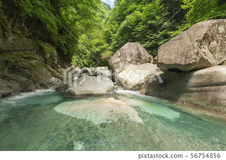 Tanzawa's Yushin Blue Summer 56754856