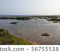 Jeju moss rocks nature landscape 56755538