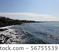 Jeju wavy sea 56755539