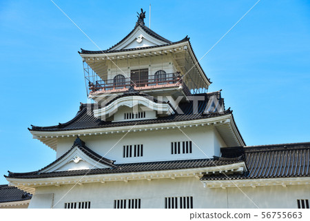 Toyama castle 56755663