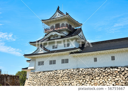 Toyama castle 56755667