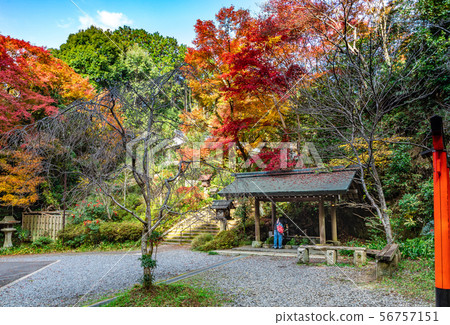 Hyuga Ojingu Temizuya 56757151