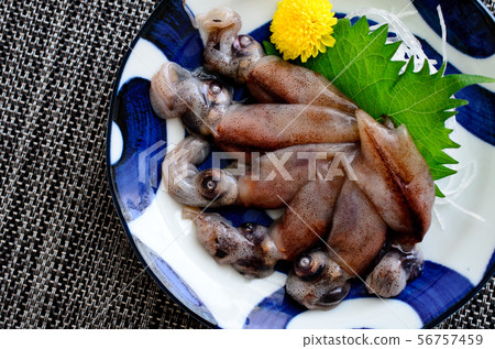 Firefly squid sashimi 56757459