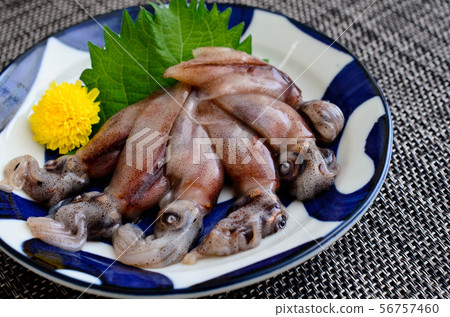 螢火蟲魷魚生魚片 螢火蟲魷魚生魚片 56757460