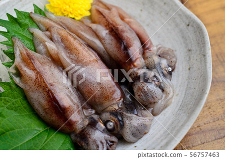 Firefly squid sashimi 56757463