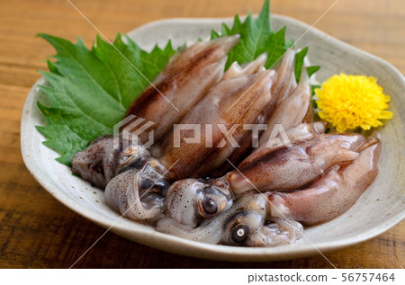 螢火蟲魷魚生魚片 56757464