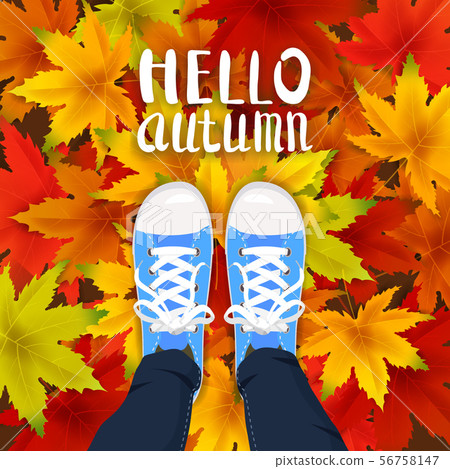 Hello Autumn lettering leaves background template with red, orange, brown and yellow maple leaves 56758147